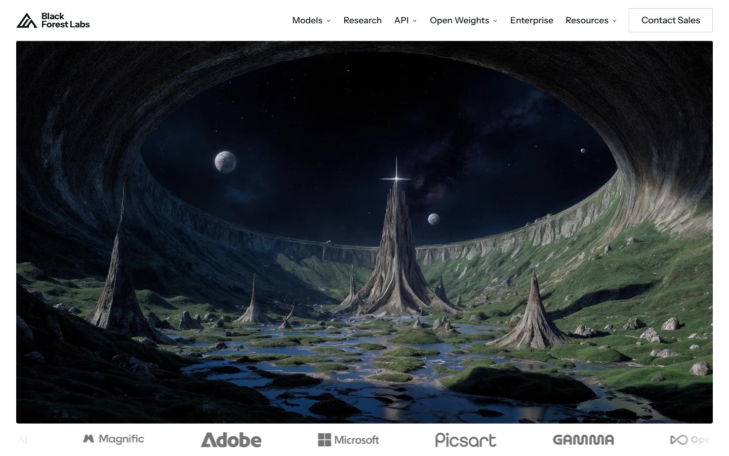 Black Forest Labs homepage